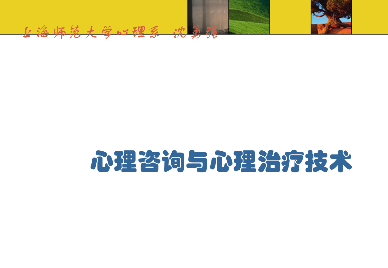 心理咨詢與心理治療技術(shù)上海師范大學(xué)心理系.ppt